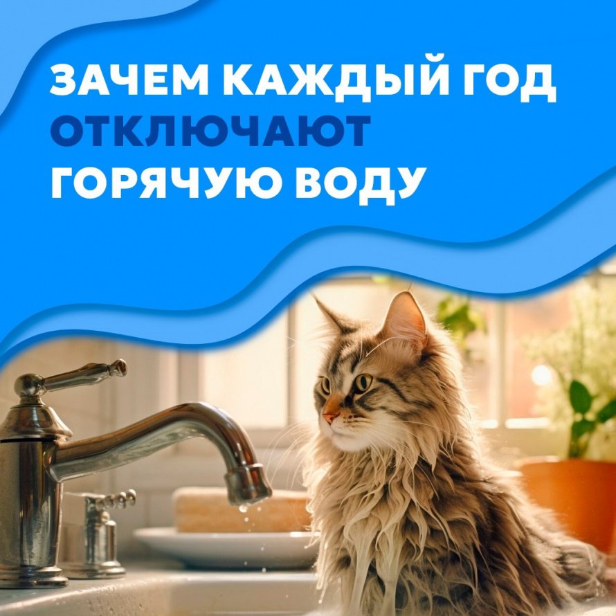 Зачем каждый год отключают горячую воду?
