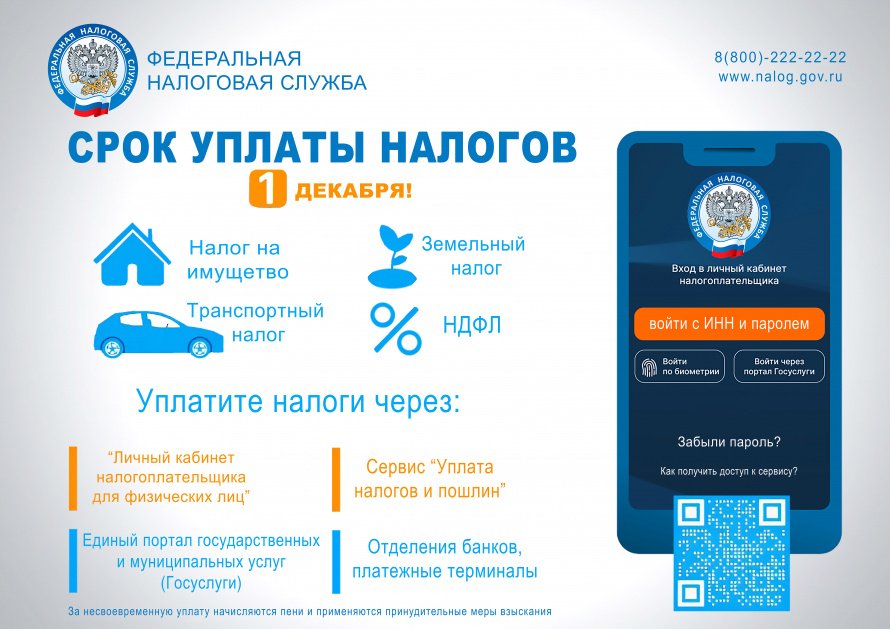 Срок уплаты налогов - 1 декабря