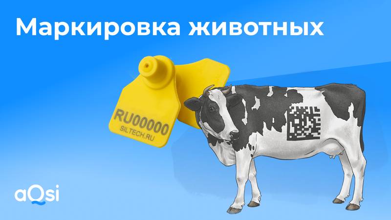 Уважаемые жители Родниковского сельского поселения Белореченского района!