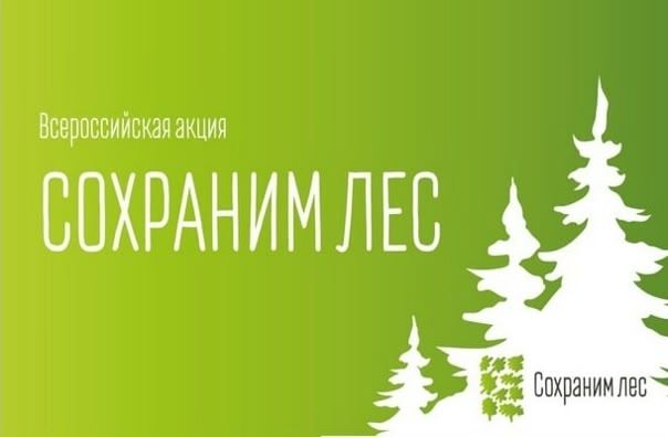 Всероссийская акция «Сохраним лес»: сохраняем будущее наших лесов вместе!